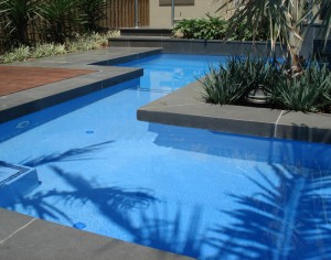 harkaway Bluestone sawn and lightly honed pool coping drop face tiles