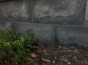 Bluestone Stone Wall Cladding