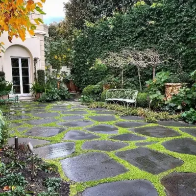 bluestone stepping stones